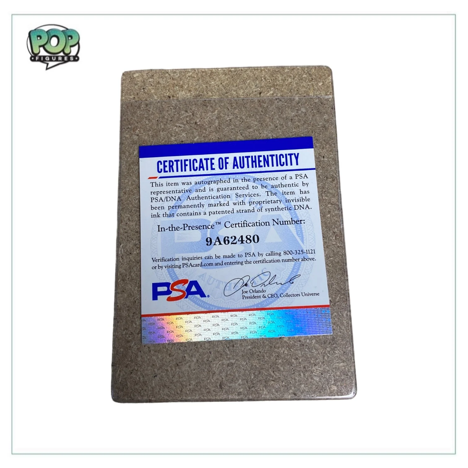 Christopher Sabat Signed Vegeta (Galick Gun) #712 Funko Pop! - Dragon Ball Z - Chalice Collectibles Exclusive - PSA In-the-Presence Authentication - Image 2