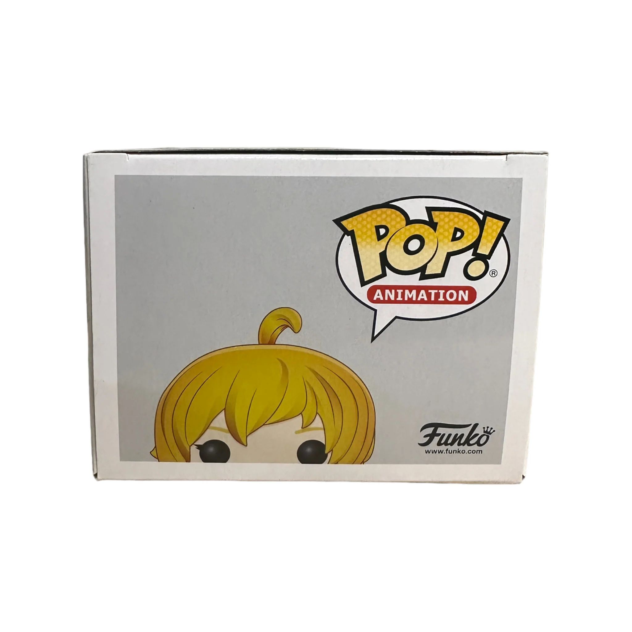Yang Xiao Long #589 Funko Pop! - RWBY - 2019 Pop! - Condition 8.5/10 - Image 6
